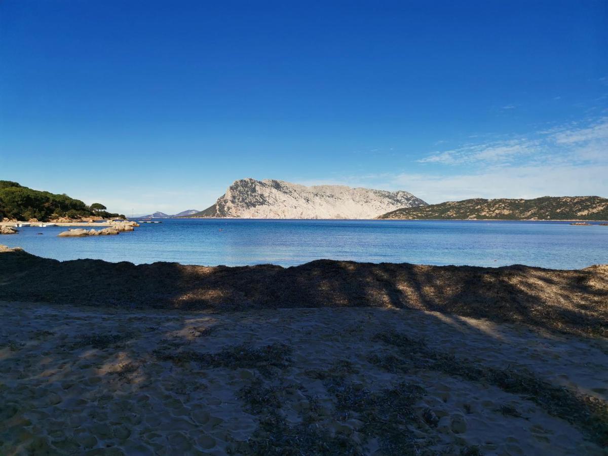 Hotel Wonderland San Teodoro  Exteriér fotografie